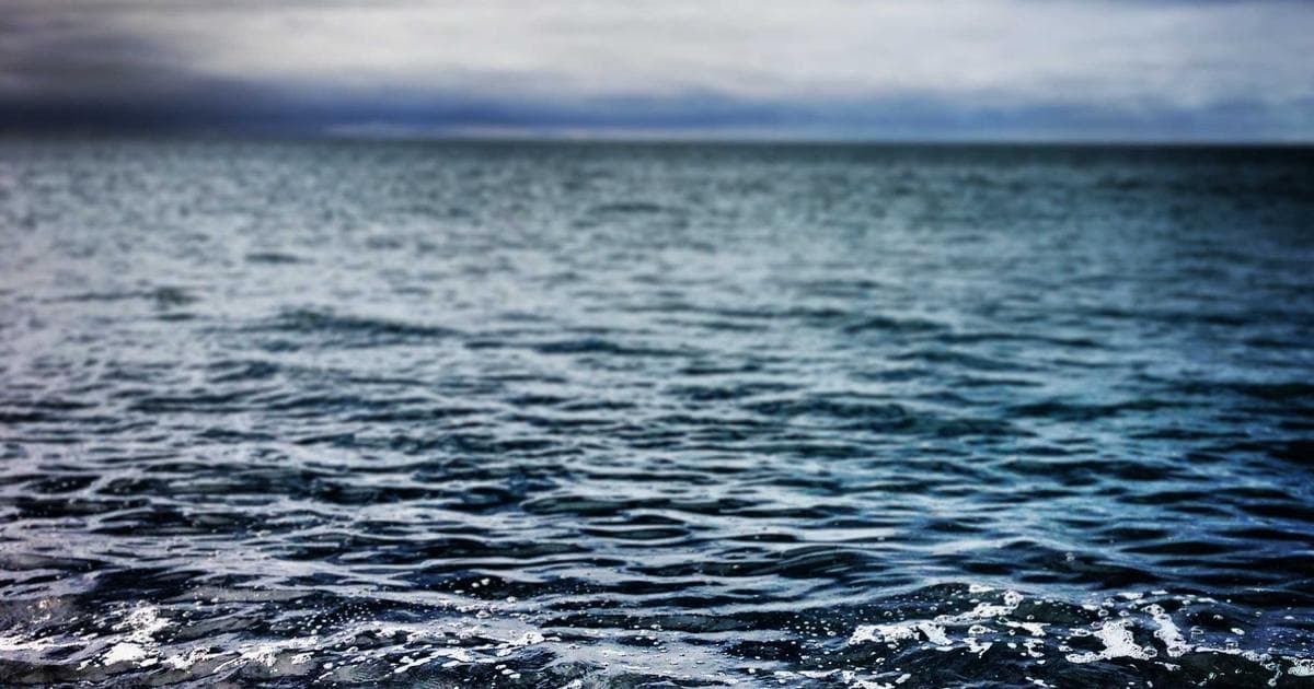 Indian Government Panel Initiates High-Level Review of Genetically Modified Food Crops