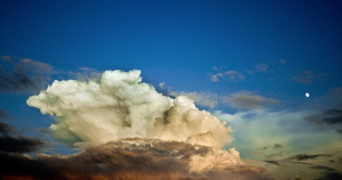 The Retail Trade Gap: How Major Brands are Engineering a New Skilled Workforce