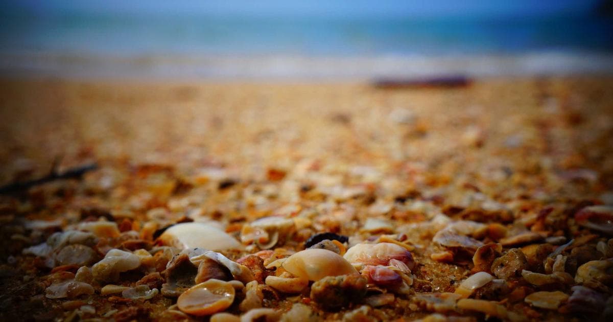 J.M. Smucker Reaches Cooperation Agreement with Elliott Management to Reshape Board