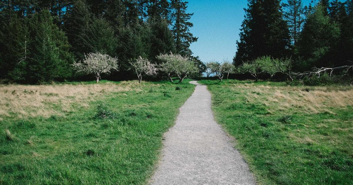 Boeing Projects 40% Surge in African Aircraft Demand as Regional Aviation Markets Pivot