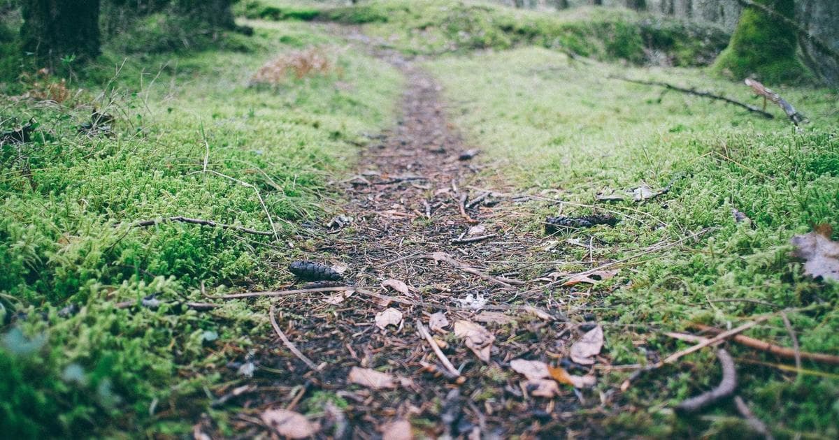 Heated Rivalry Season 2 Confirmed for 2027 as Production Slated for August Start