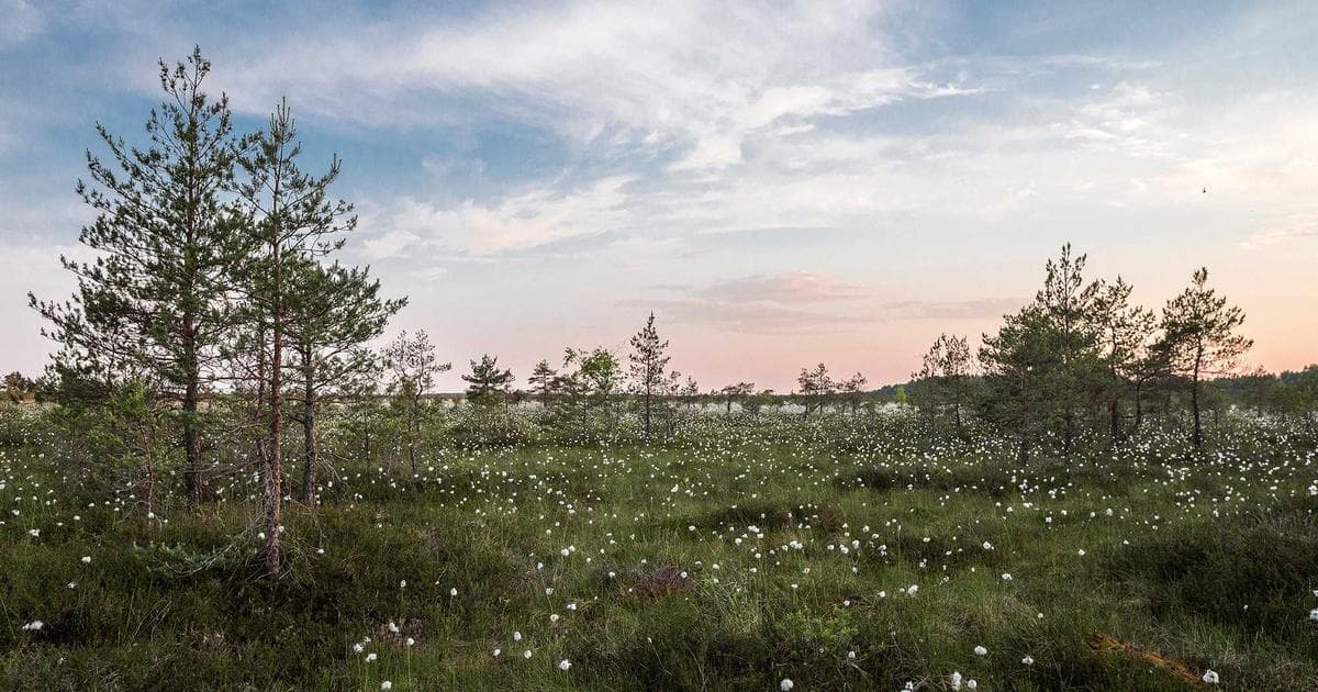 Kenyan Agency Founder Charged in Major Human Trafficking Scheme Linked to Russian Military