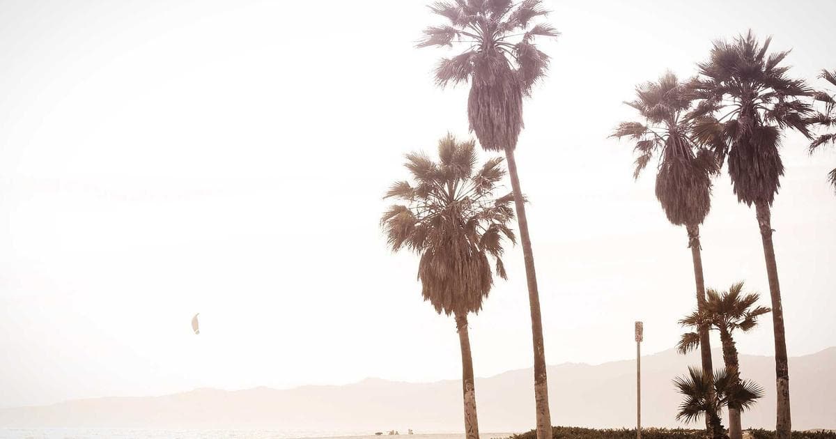 Bridgerton Season 4: Yerin Ha on the Vulnerability and Trust Behind Sophie and Benedict’s Intimacy