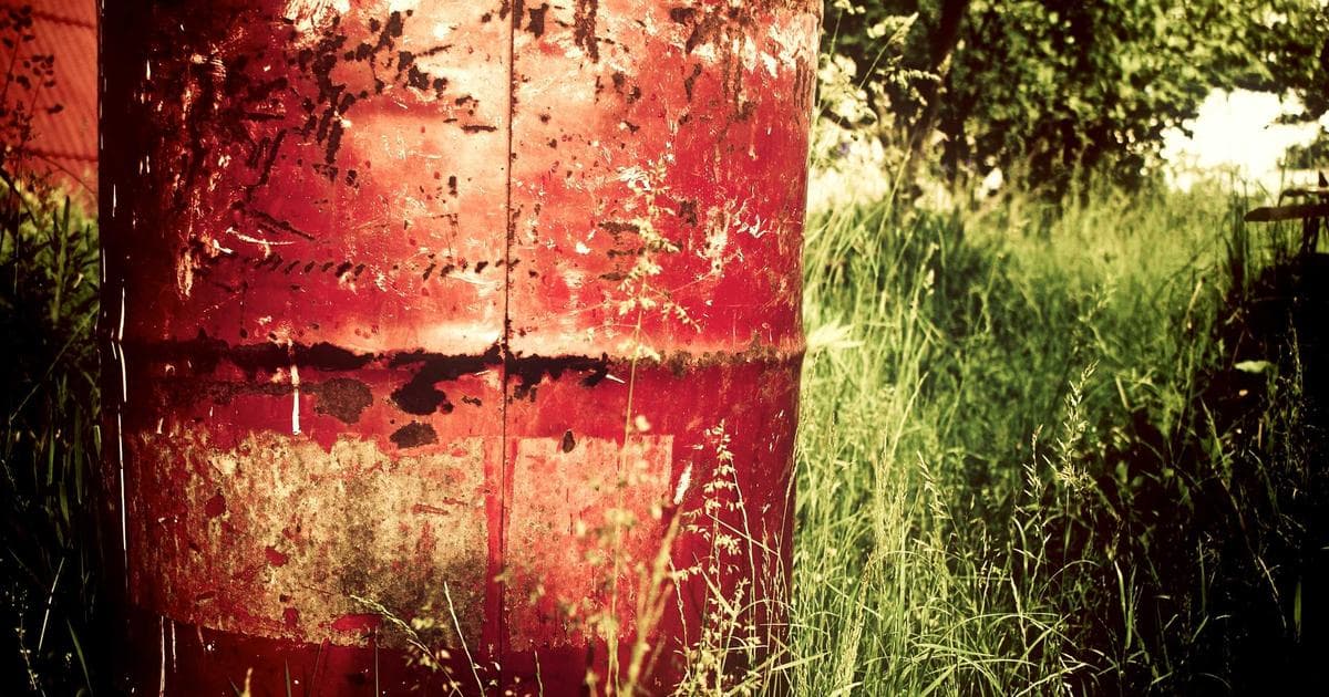 Navigating the 'Inheritance Trap': Legal Recourse After a Contested Will Deadline Passes