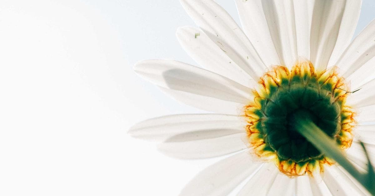 Rubio Navigates Diplomatic Friction as Cuba Pressure Heightens Migration Risks