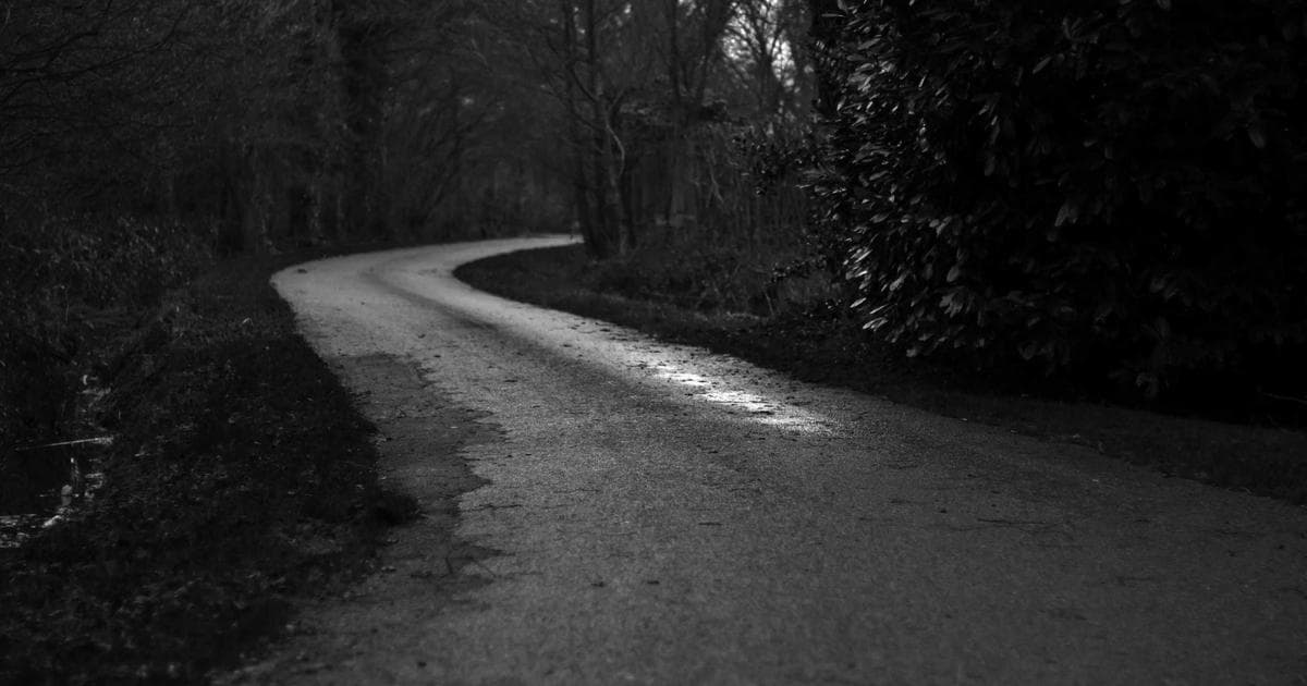 Global Streaming and Digital Access: Navigating the 2026 Tokyo Marathon Broadcast