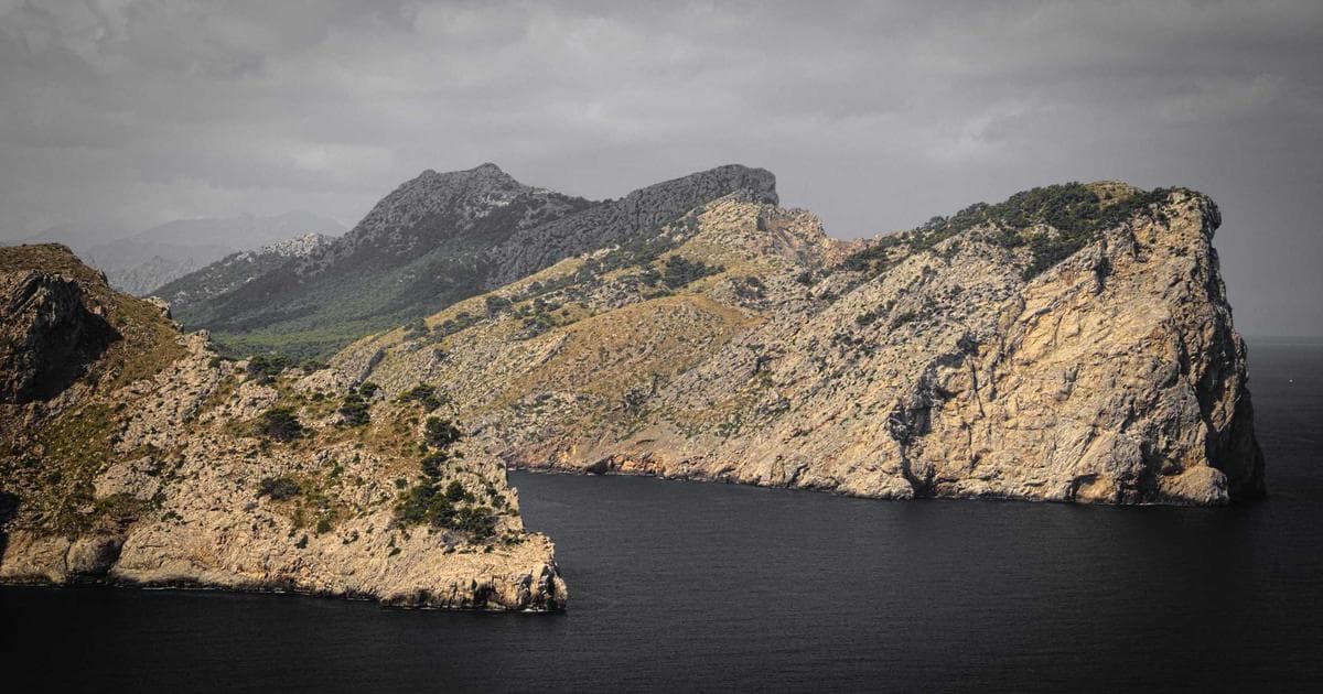 Black History Month Centennial: Examining the Grassroots Origins Amid Modern Political Shifts