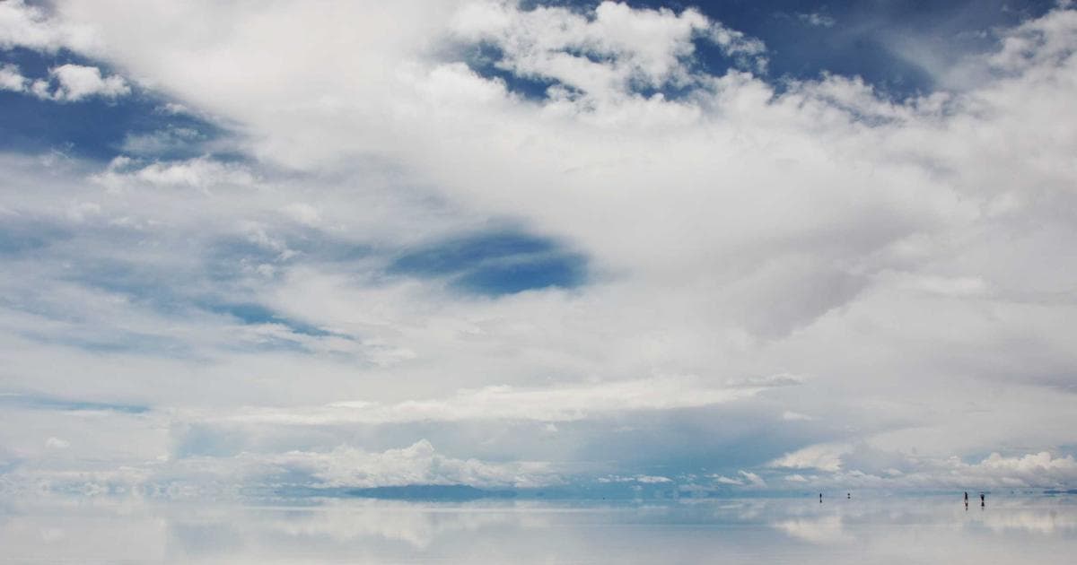 Medical Innovation Saves Frostbitten Tegu Found in Rhode Island Snowstorm