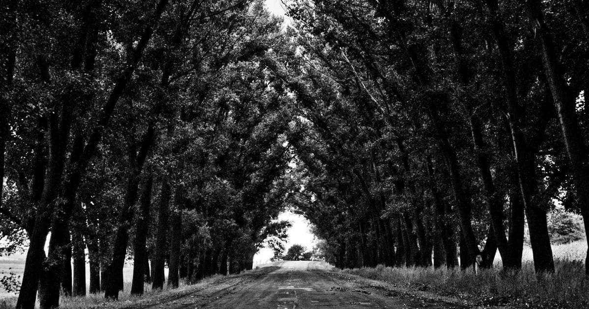 US Security Agencies Issue Nationwide Alert Following Joint Strikes on Iranian Leadership