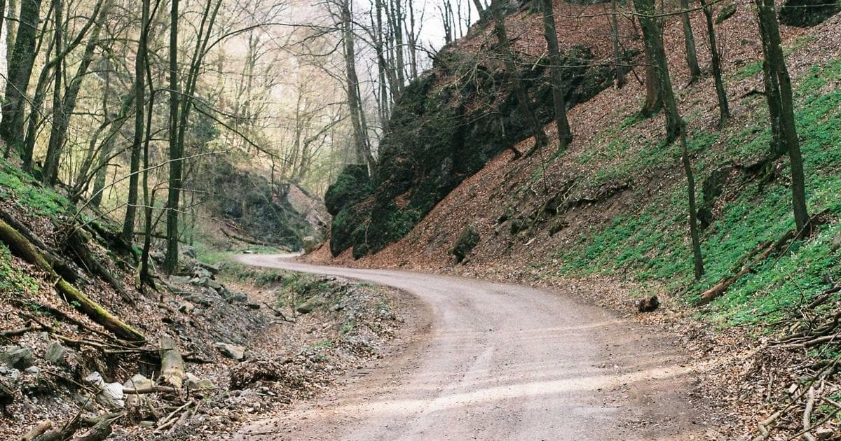 Steam Next Fest 2026: 10 Essential Free Demos to Play Before the March Deadline