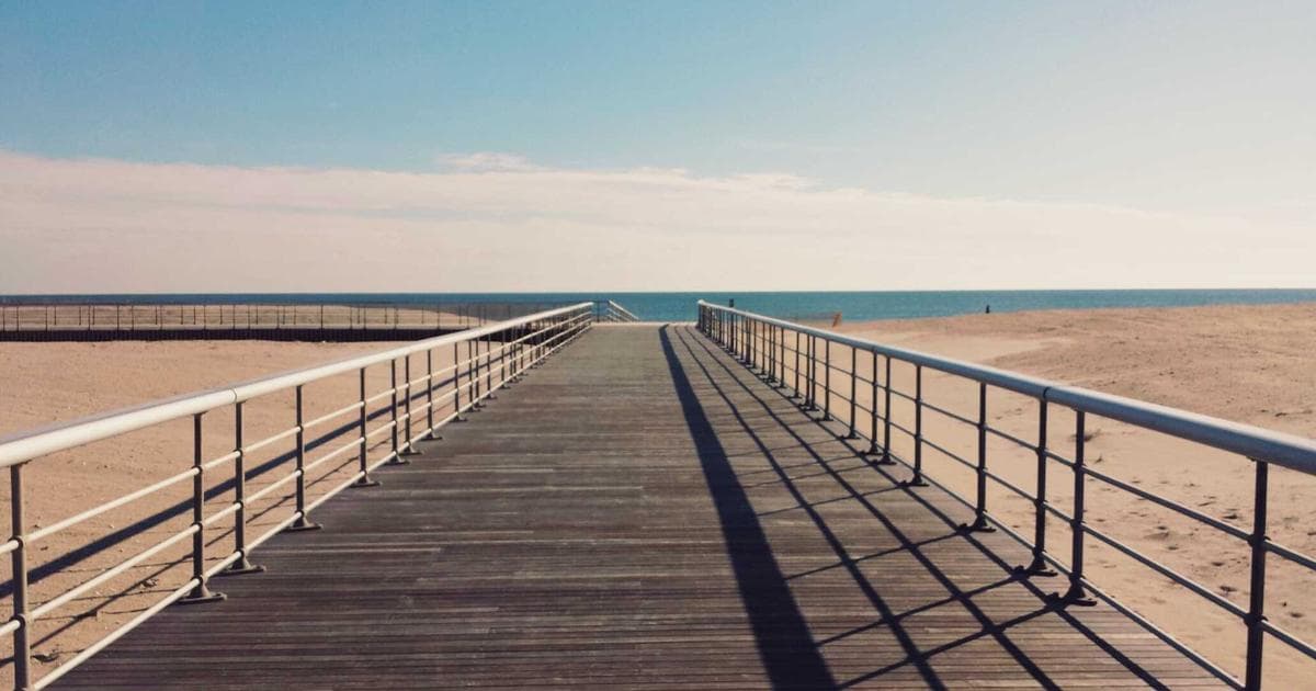 Beyond the Wagyu: A Chef’s Guide to Tokyo’s Evolving Vegetarian Landscape