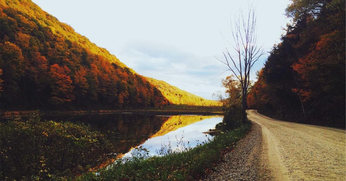 Plover Bay Technologies Unveils Q4 2025 Results Amid Global Market Turbulence