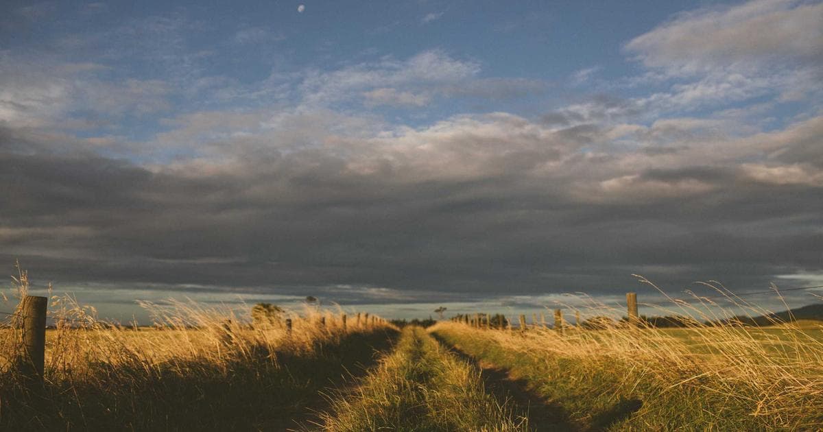 Trump Asserts Path to Iran Diplomacy is "Much Easier" Following U.S.-Israeli Strikes