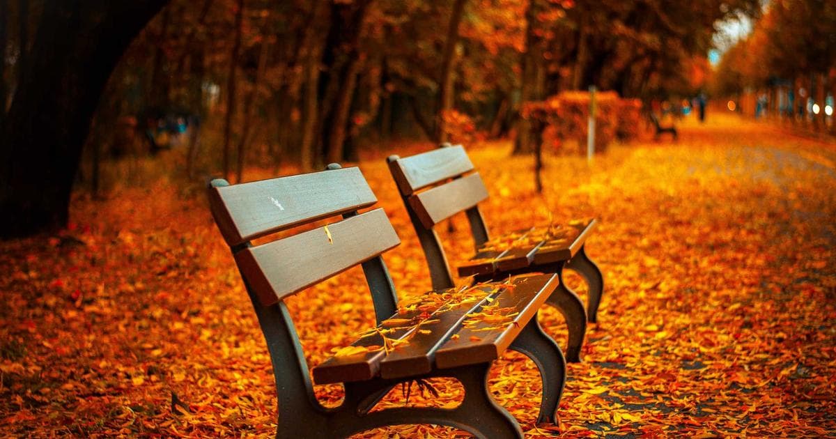 Olivia Dean Dominates 2026 BRIT Awards as Manchester Hosts a Night of High Drama and High Notes