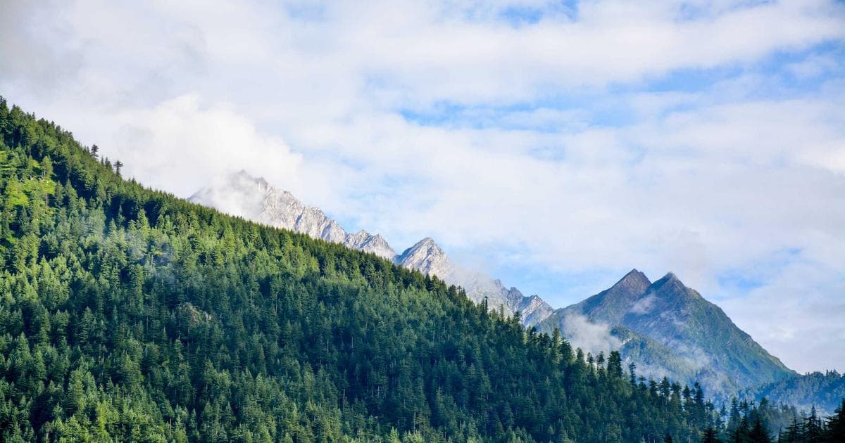 From Westwood to Tehran: The Iranian Diaspora Reacts to a Seismic Shift