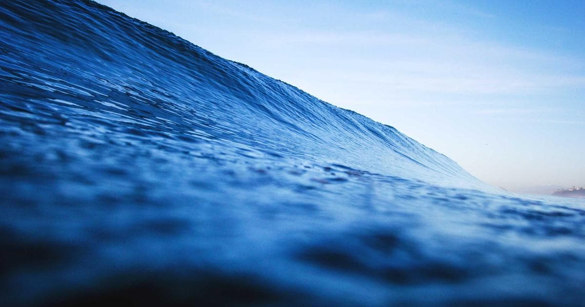 The Hidden Nutritional Gap Disrupting Global Sleep Patterns