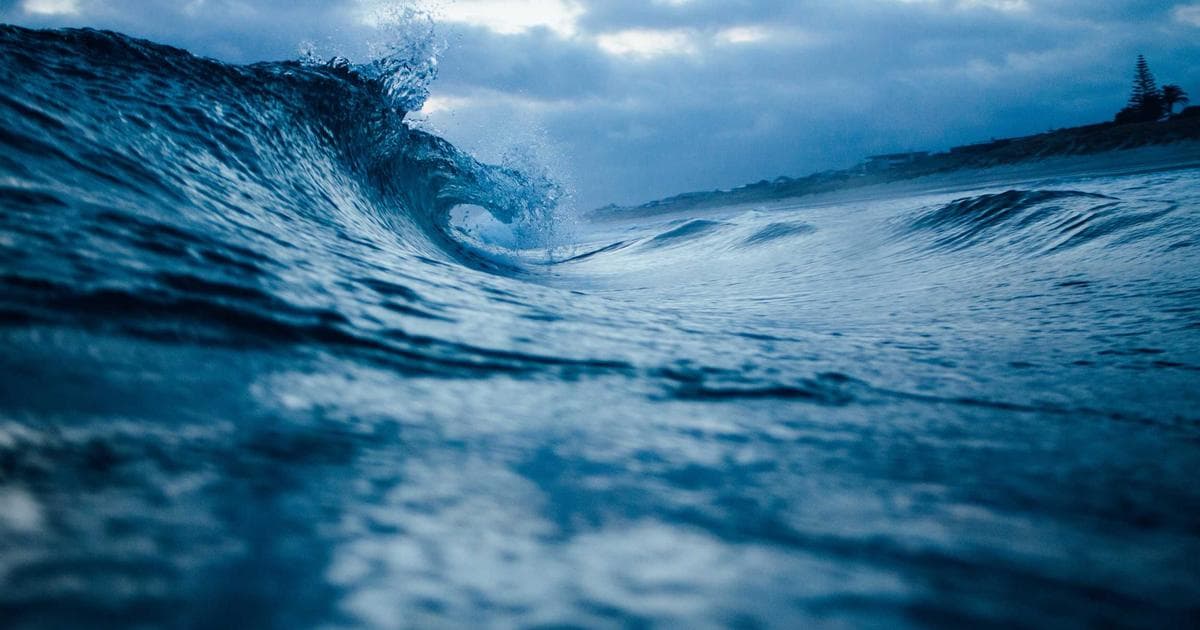 The Scale Paradox: Why the Saks-Neiman Marcus Merger Ended in a Saks Global Bankruptcy