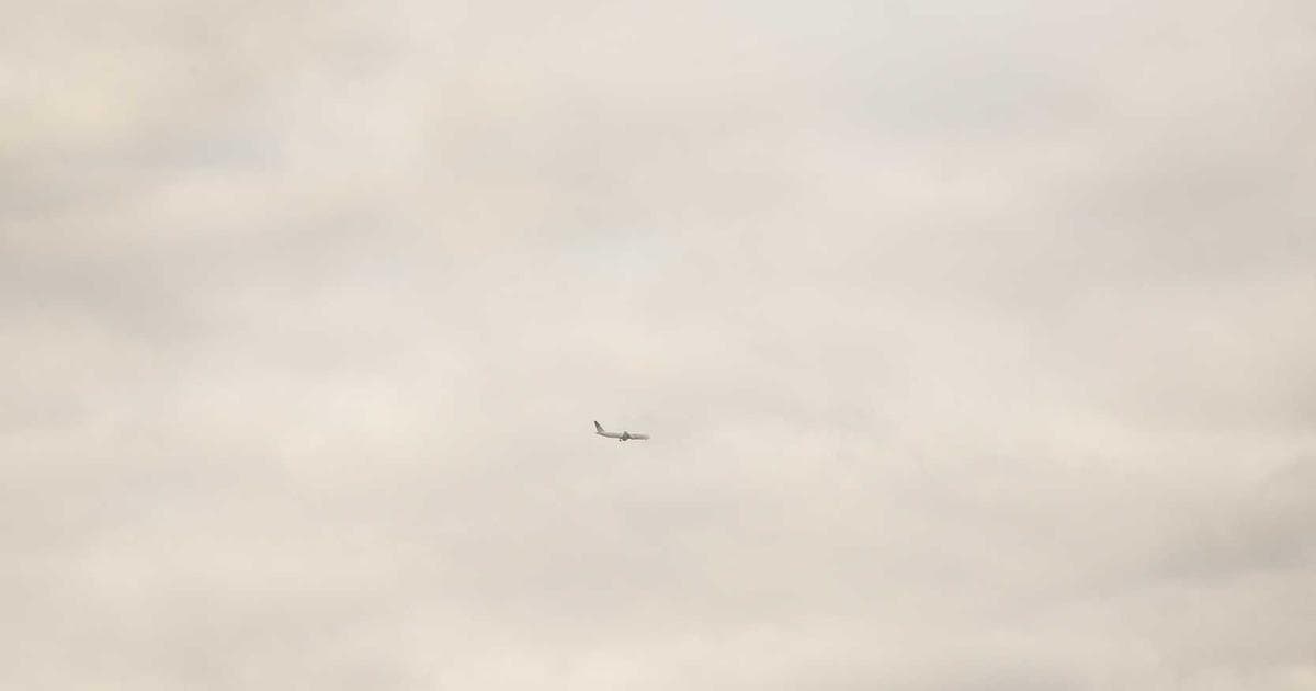 Guarding the Emerald Coast: Northern Ireland Sets 2030 Roadmap for Marine Biodiversity