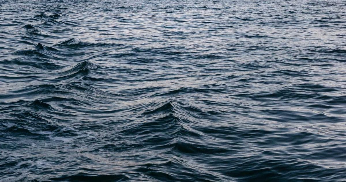 Korean Air Unveils $45 Million Flagship Lounge at LAX Ahead of Asiana Merger