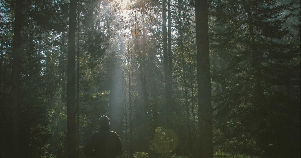 GOP Rallies Around Trump Following Strikes on Iran as Internal Dissent Simmers