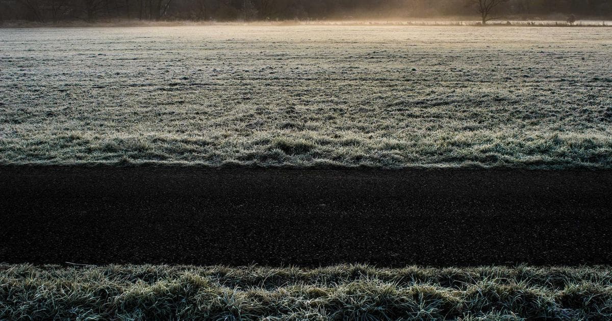 The Dill Pickle Revolution: Laughing Cow Expands Flavor Portfolio for 2026