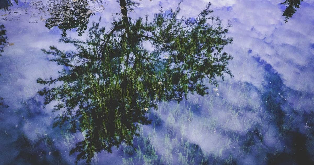 Iran Begins Extended Mourning Period as New Council Manages Fallout from Khamenei Killing