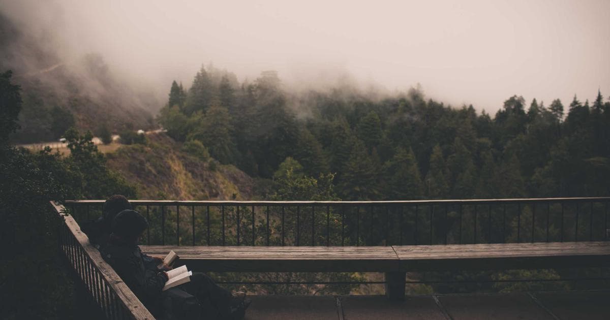 Footwear’s New Frontier: How High-End Silhouettes and Comfort Tech are Merging in 2026