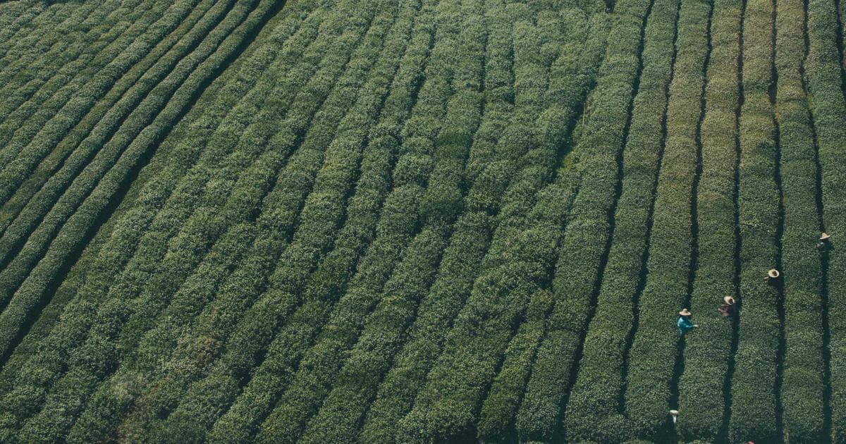 Regime Change Doctrine Faces First Test as Washington Grapples with Post-Khamenei Reality