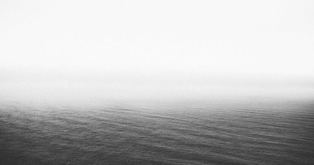 Why You Should Stop Wrapping These 4 Foods in Aluminum Foil