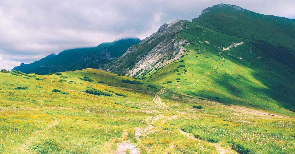 Hudson Williams and Connor Storrie Bring Heated Rivalry Energy to Saturday Night Live Ice Sketch