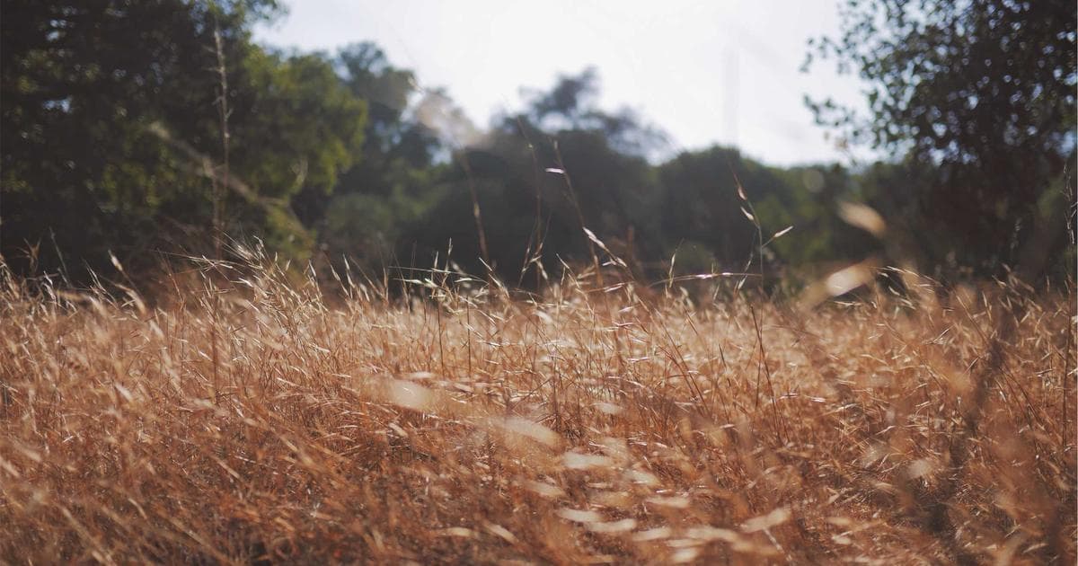 The Zodiac’s Most Tactless: Why Aries, Sagittarius, and Gemini Struggle with Social Graces