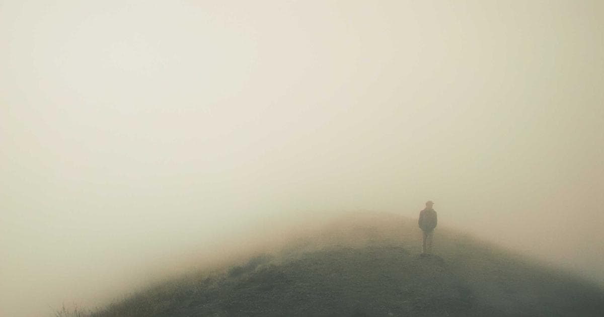 UK Wildlife Populations Face Severe Decline After Winter Flooding and Storms