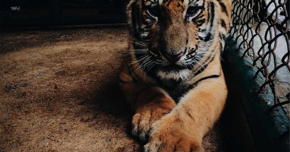 NASA Telescope Detects First 'Astrosphere' Around a Sun-Like Star