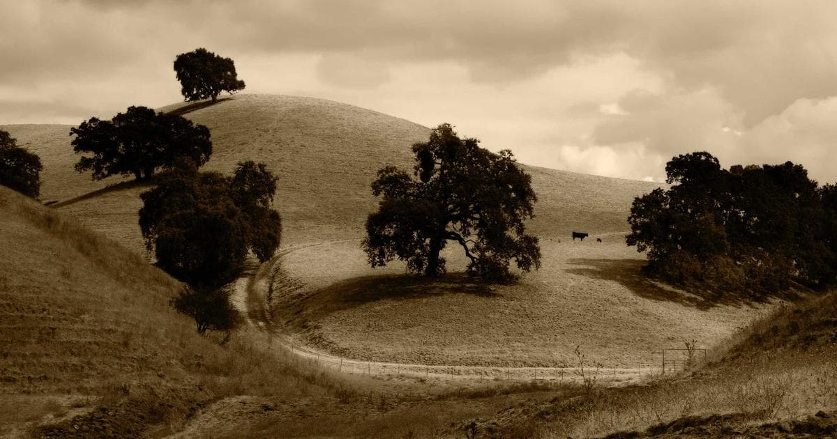 The 2026 Blood Moon: Atmospheric Science and the Two-Year Lunar Hiatus