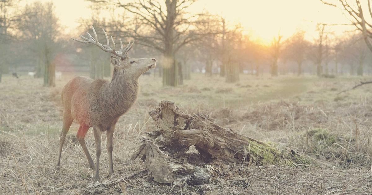 Kering Valuation Stretches Amid 43% Rally as Luxury Sector Faces Geopolitical Headwinds