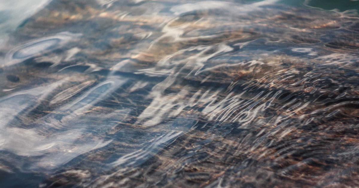 Chemical Analysis Suggests Ancient Greek Priestesses Manipulated Toxic Fungi to Induce Hallucinations