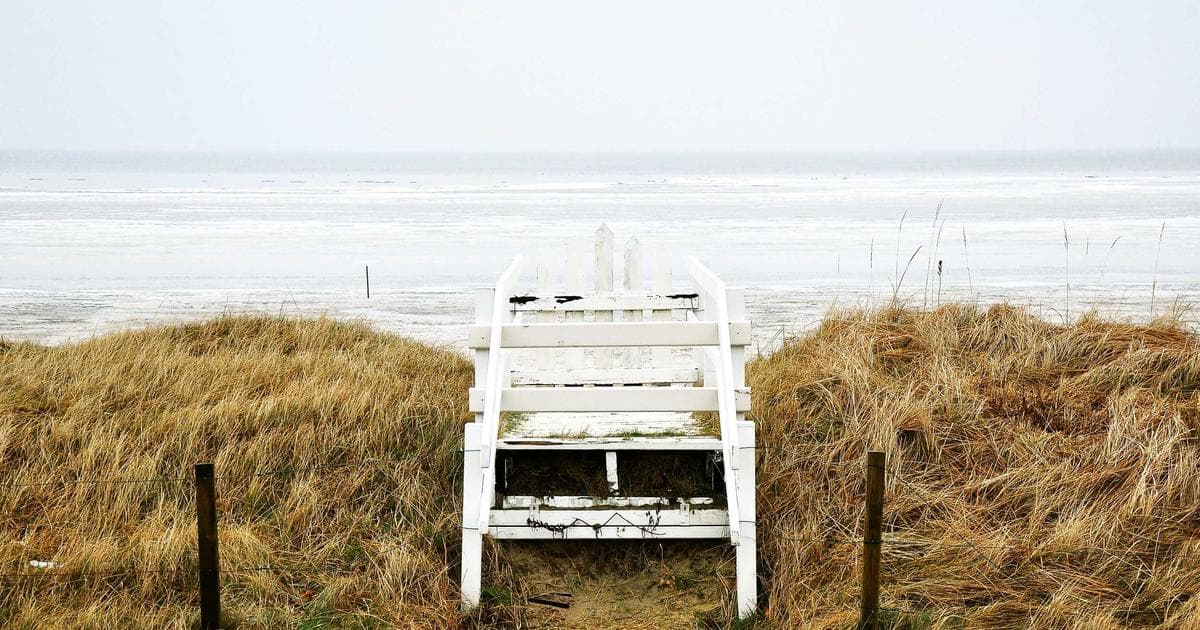 Olympic Truce Shattered: Middle East Conflict Disrupts Winter Paralympic Games