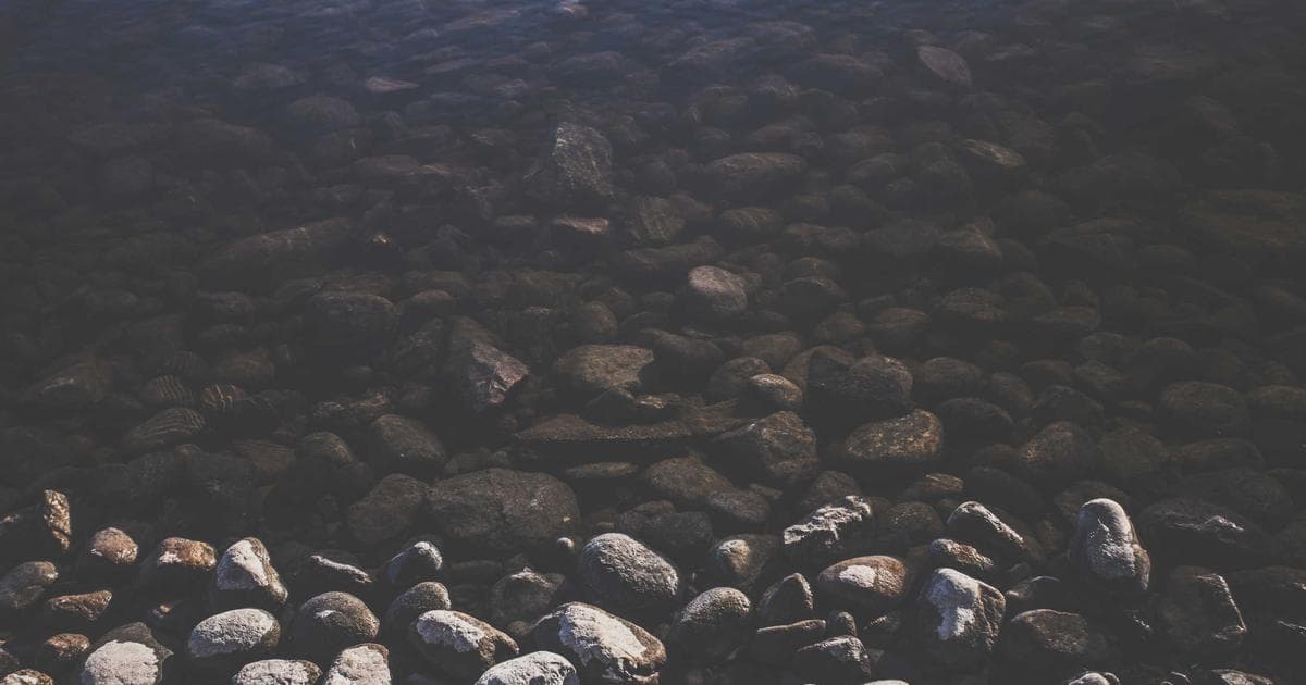 Robert Lewandowski to Miss Copa del Rey Semi-Final Following Fractured Eye Socket