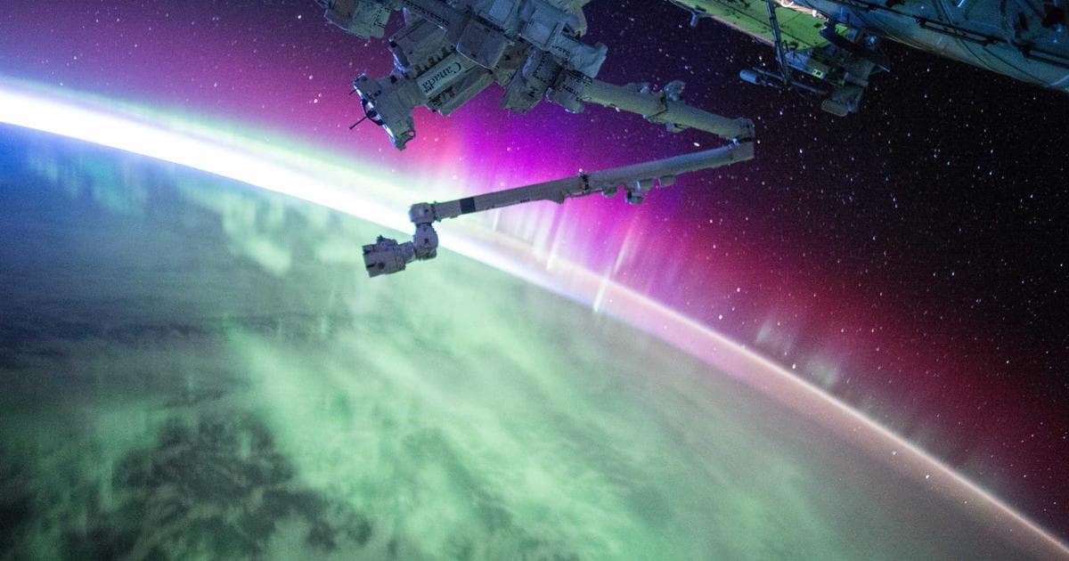 The Management Metric: How Investors Evaluate Leadership Quality in a Volatile 2026 Market