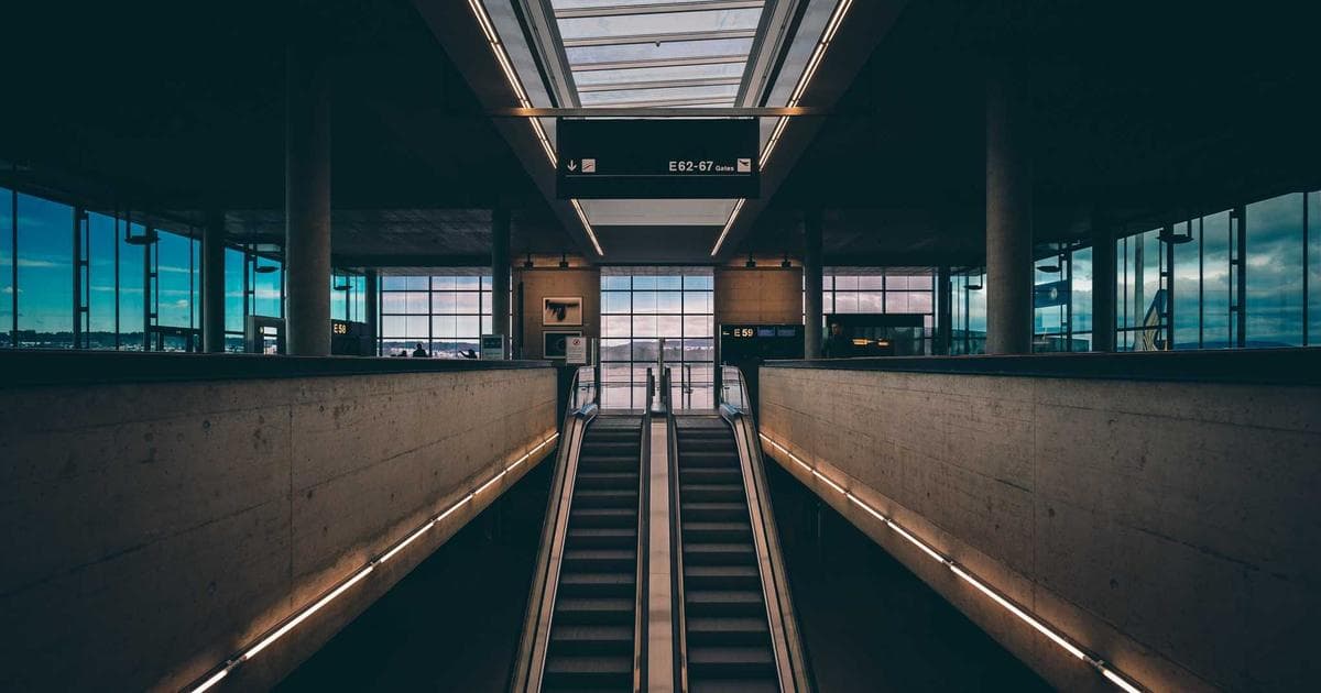 North America’s Invisible Biodiversity Crisis: 90 Percent of Insect and Arachnid Species Lack Conservation Status