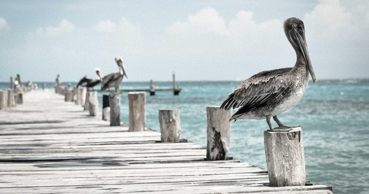 Beyond the Lab: The $10 Billion Race to Rewild the Past through De-Extinction