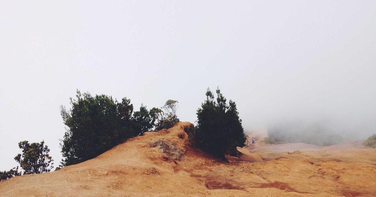 Sidon Strike and Beirut Evacuation Orders Signal Widening Conflict in Lebanon