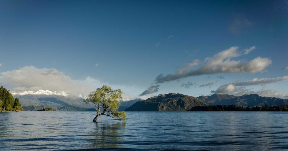 Trump Rejects Iran Deal Overtures as State Department Posts $10 Million Bounty for IRGC Leaders