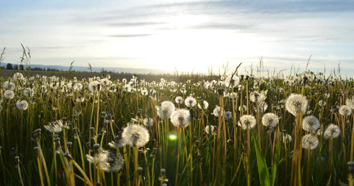 Tehran Reports Destruction of 42,000 Civilian Sites as Conflict Enters Third Week