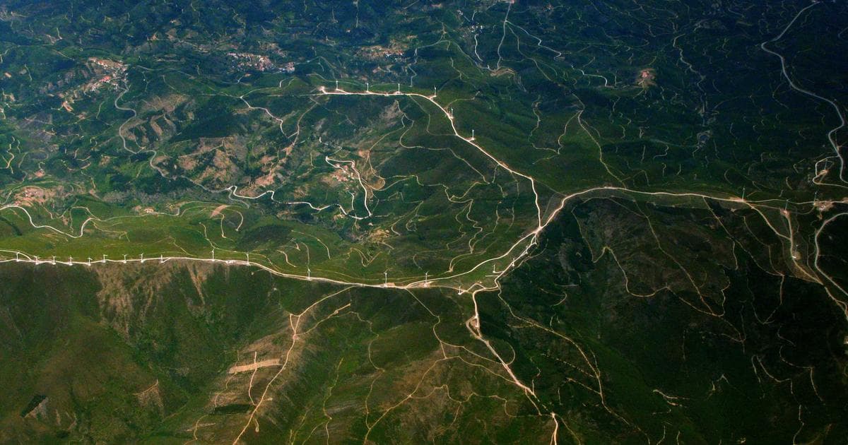 Ugandan Opposition Leader Bobi Wine Flees Abroad Following 'Dead or Alive' Military Threat