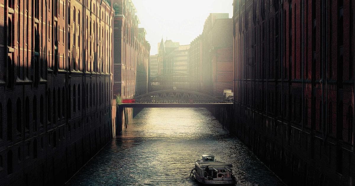 MAGA Base Intensifies Pressure on Trump to Rescind Support for Senator John Cornyn