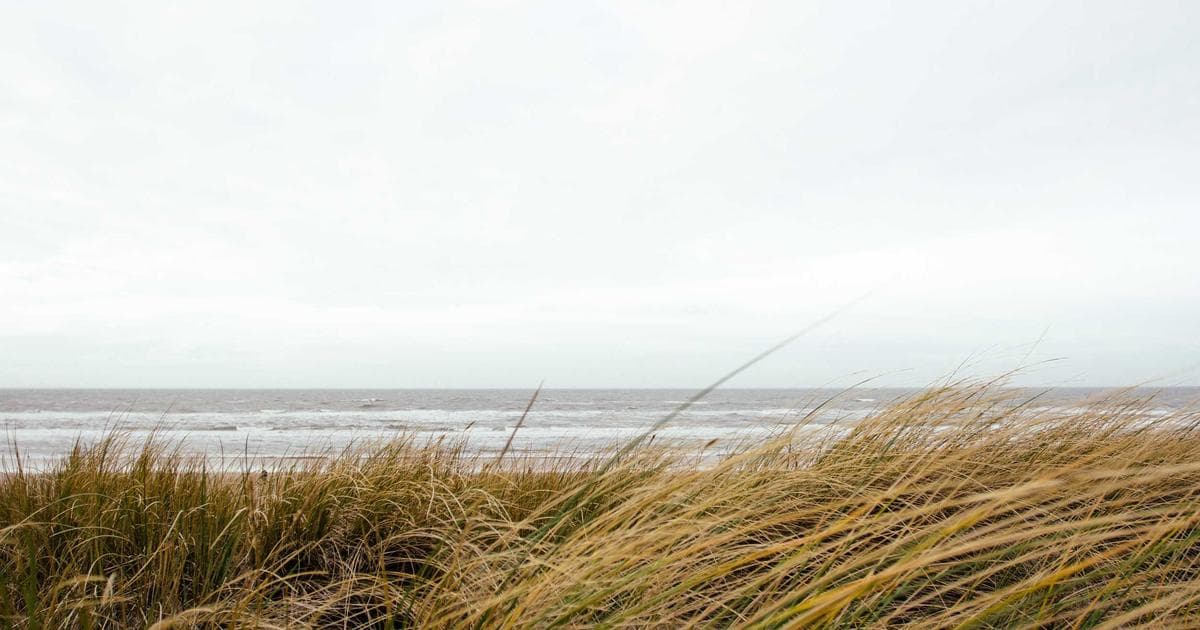 Deep Underground: The Quest to Detect Ghost Particles from the Dawn of Time