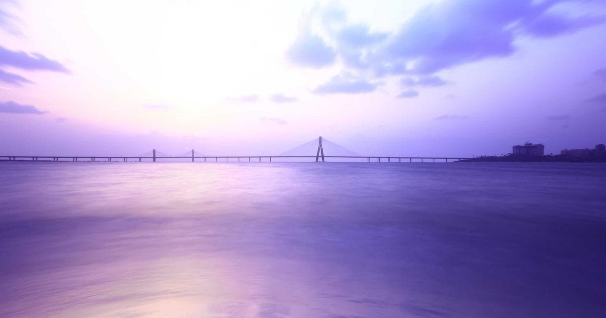 The Reply-All Empire: How a Student’s Email Error Built a Pet-Sitting Powerhouse