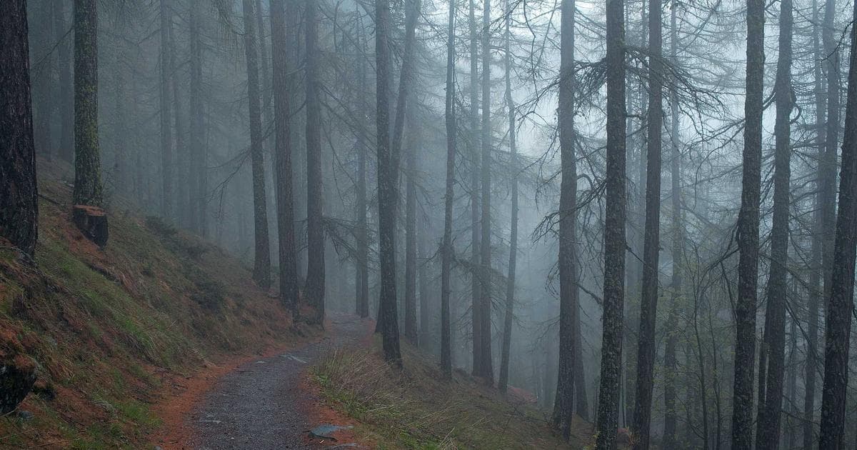 High-Value Travel Rewards: The Best Credit Card Welcome Bonuses for March 2026