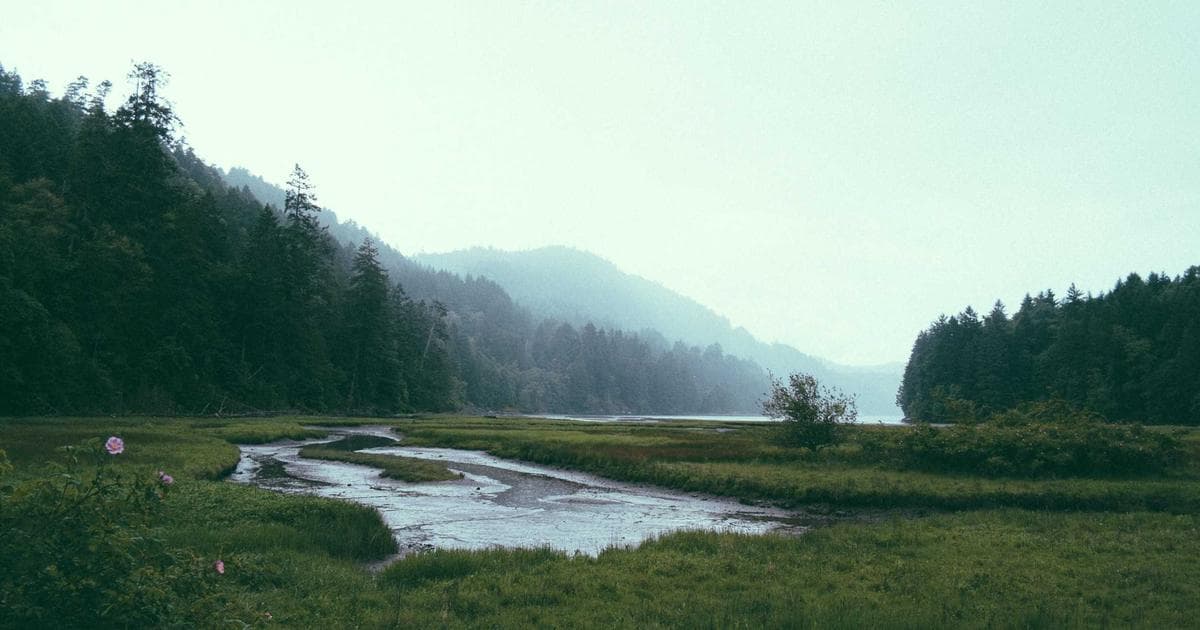 Academy Awards 2026: Conan O'Brien Returns to the Dolby Theatre for Hollywood's Biggest Night